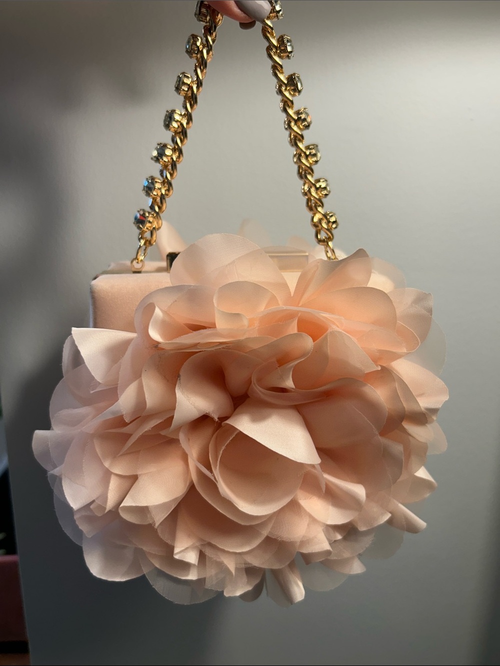 Badgley Mischka‎ Jewel “Natasha” Blush Mini Bag Flower Clutch Purse NWT $129